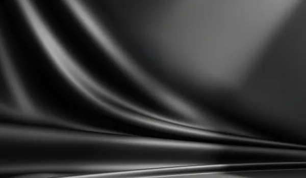 Black Curtains 2