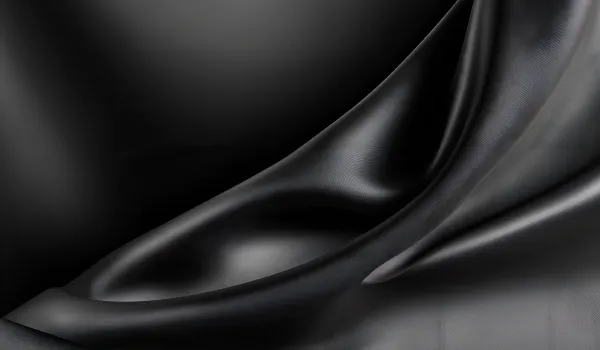 Black Curtains 5