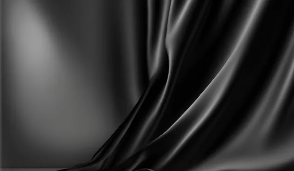 Black Curtains 9