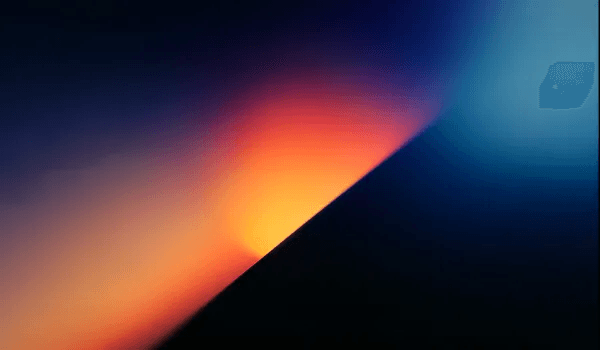 Sunflections 31
